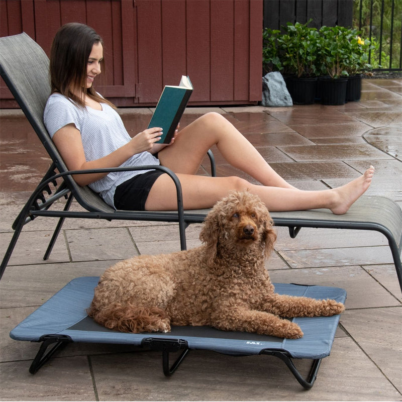 An image of a lady reading a book beside a pool next to her golden doodle laying on a lake blue dog cot and potted plant on the background 