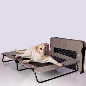 a labrador retriever extending his legs laying on aharbor grey dog cot  next to another folded harbor grey dog cot 