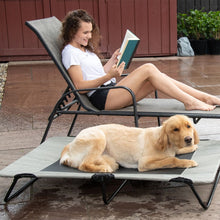 a lady in white reading a book sitting on a side pool bench next to a golden retriever laying on a harbor grey dog cot  and some potted plants on the background
