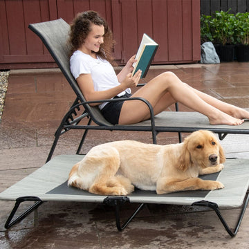 a lady in white reading a book sitting on a side pool bench next to a golden retriever laying on a harbor grey dog cot  and some potted plants on the background