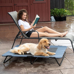a picture of a lady reading a book in a side pool chair next to a golden retriever laying on a lake blue dog cot and some potted plants on the background