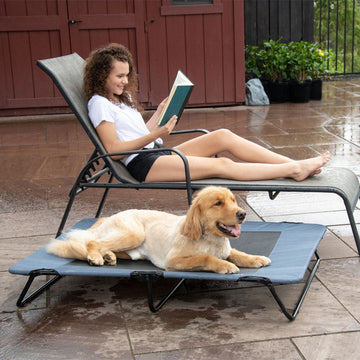 a picture of a lady reading a book in a side pool chair next to a golden retriever laying on a lake blue dog cot and some potted plants on the background