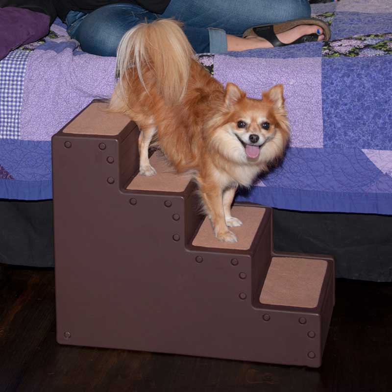 a Pomeranian getting off bed through a four step pet stairs next to a bed with blue bed sheets