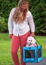 Signature Car Seat & Carrier (SHIPPER) 4pcs - image 3