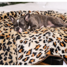 A close up view of a french bulldog laying on a cheetah printed waterproof dog blanket
