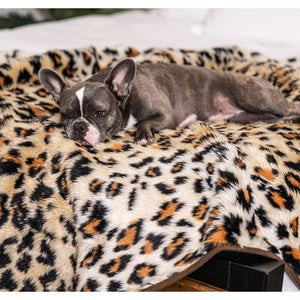 A close up view of a french bulldog laying on a cheetah printed waterproof dog blanket