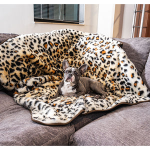 A french bulldog on a grey couch laying on a cheetah printed waterproof dog blanket 