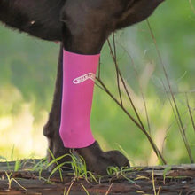 A close up picture of a leg of a black dog wearing a pink Walkabout Compression Sleeve