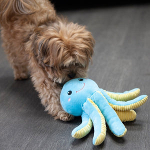 Opal the Octopus Pet Toy