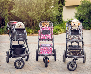 Three cute dogs in three different colored Pet strollers on a sidewalk